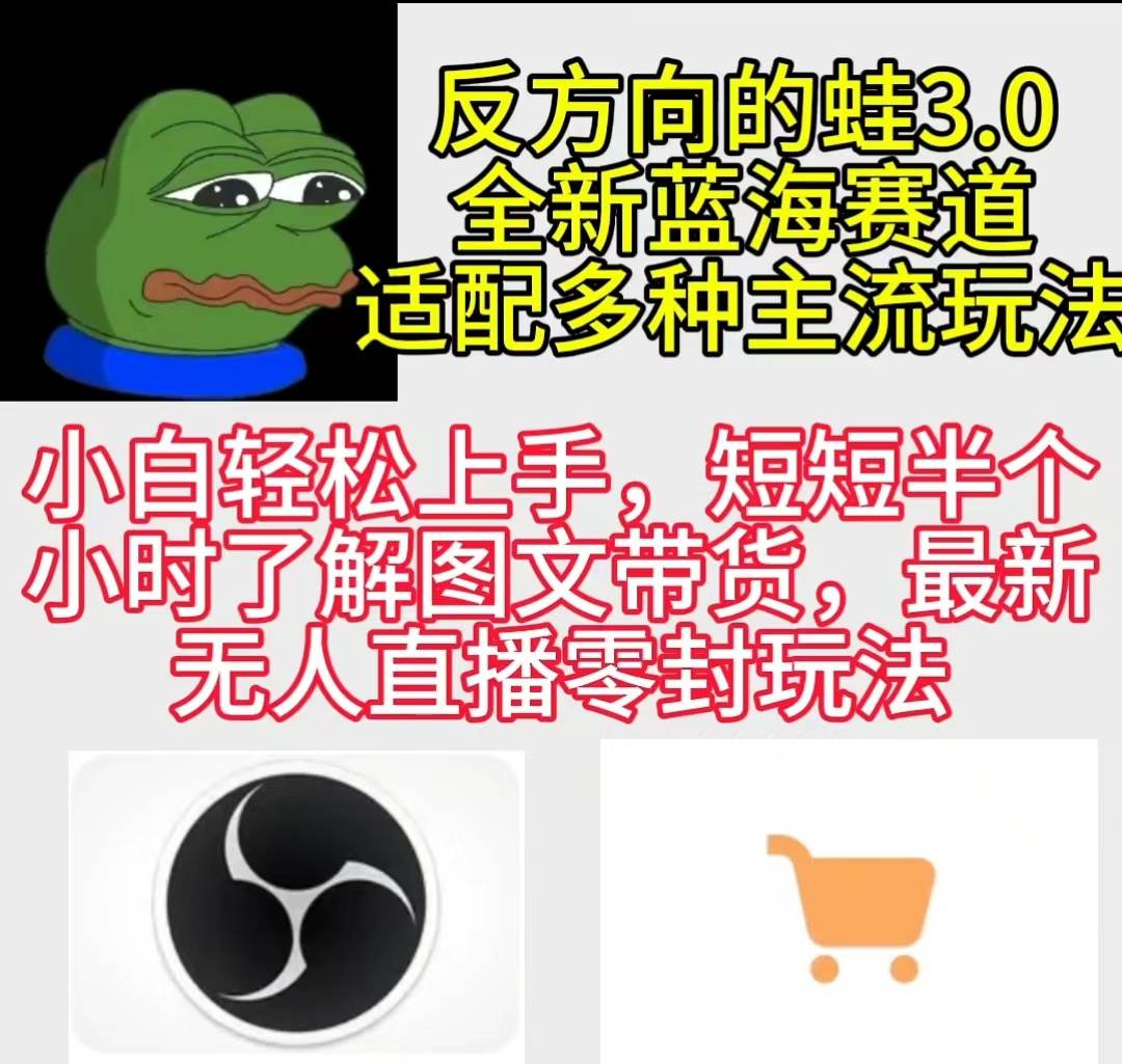 反方向的蛙3.0，图文最新玩法，变现多元化，新蓝海项目，小白轻松上手-易学副业