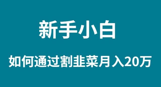 新手小白如何通过割韭菜月入 20W-易学副业