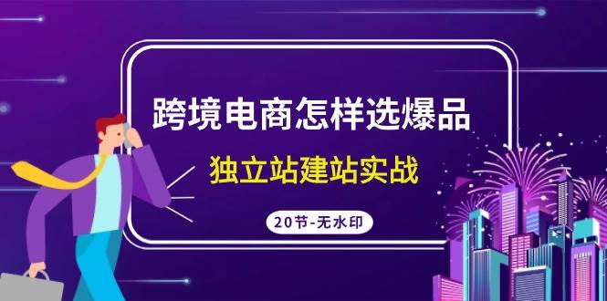 跨境电商怎样选爆品，独立站建站实战（20节高清无水印课）-易学副业