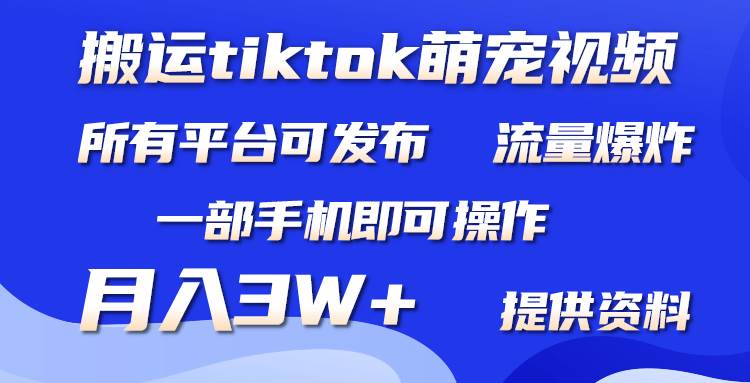 搬运Tiktok萌宠类视频，一部手机即可。所有短视频平台均可操作，月入3W+-易学副业