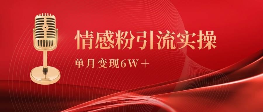 单月变现6w+，情感粉引流变现实操课-易学副业
