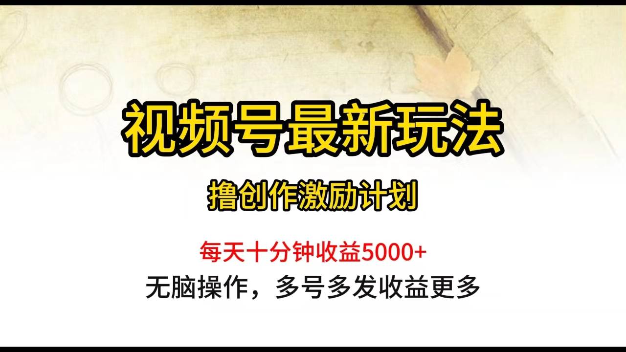 视频号最新玩法，每日一小时月入5000+-易学副业