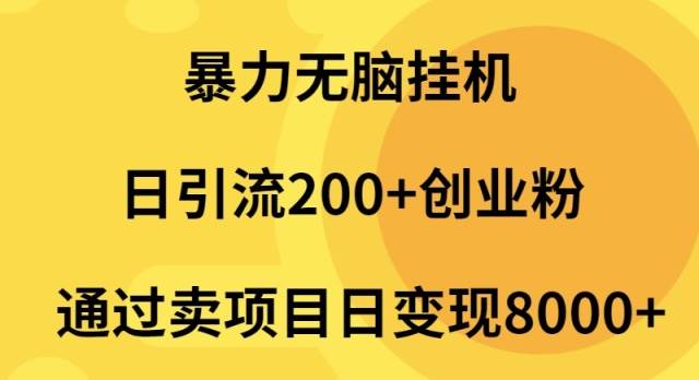 暴力无脑挂机日引流200+创业粉通过卖项目日变现2000+-易学副业