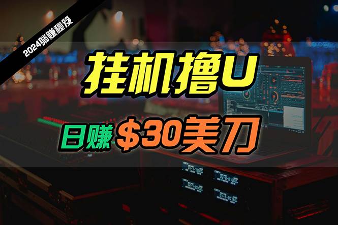 日赚30美刀，2024最新海外挂机撸U内部项目，全程无人值守，可批量放大-易学副业
