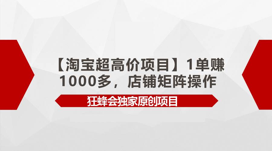 【淘宝超高价项目】1单赚1000多，店铺矩阵操作-易学副业