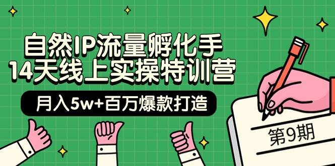 自然IP流量孵化手 14天线上实操特训营【第9期】月入5w+百万爆款打造 (74节)-易学副业