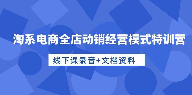 淘系电商全店动销经营模式特训营，线下课录音+文档资料-易学副业