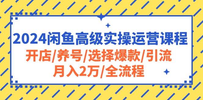2024闲鱼高级实操运营课程：开店/养号/选择爆款/引流/月入2万/全流程-易学副业