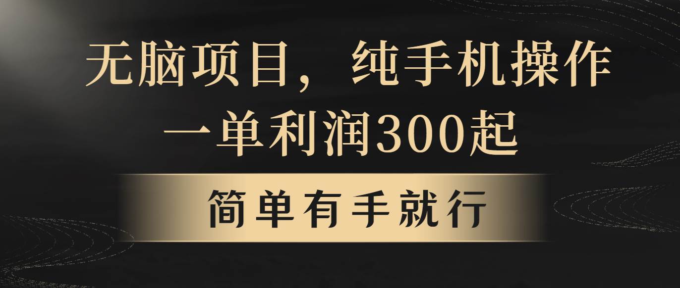 无脑项目，一单几百块，轻松月入5w+，看完就能直接操作-易学副业