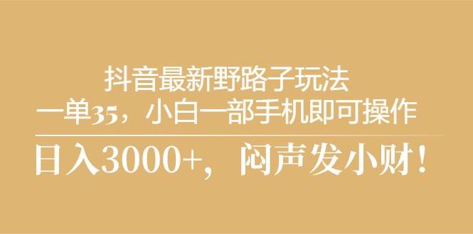 抖音最新野路子玩法，一单35，小白一部手机即可操作，，日入3000+，闷…-易学副业