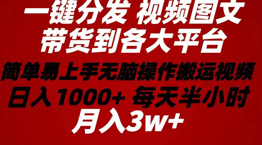2024年 一键分发带货图文视频  简单易上手 无脑赚收益 每天半小时日入1…-易学副业
