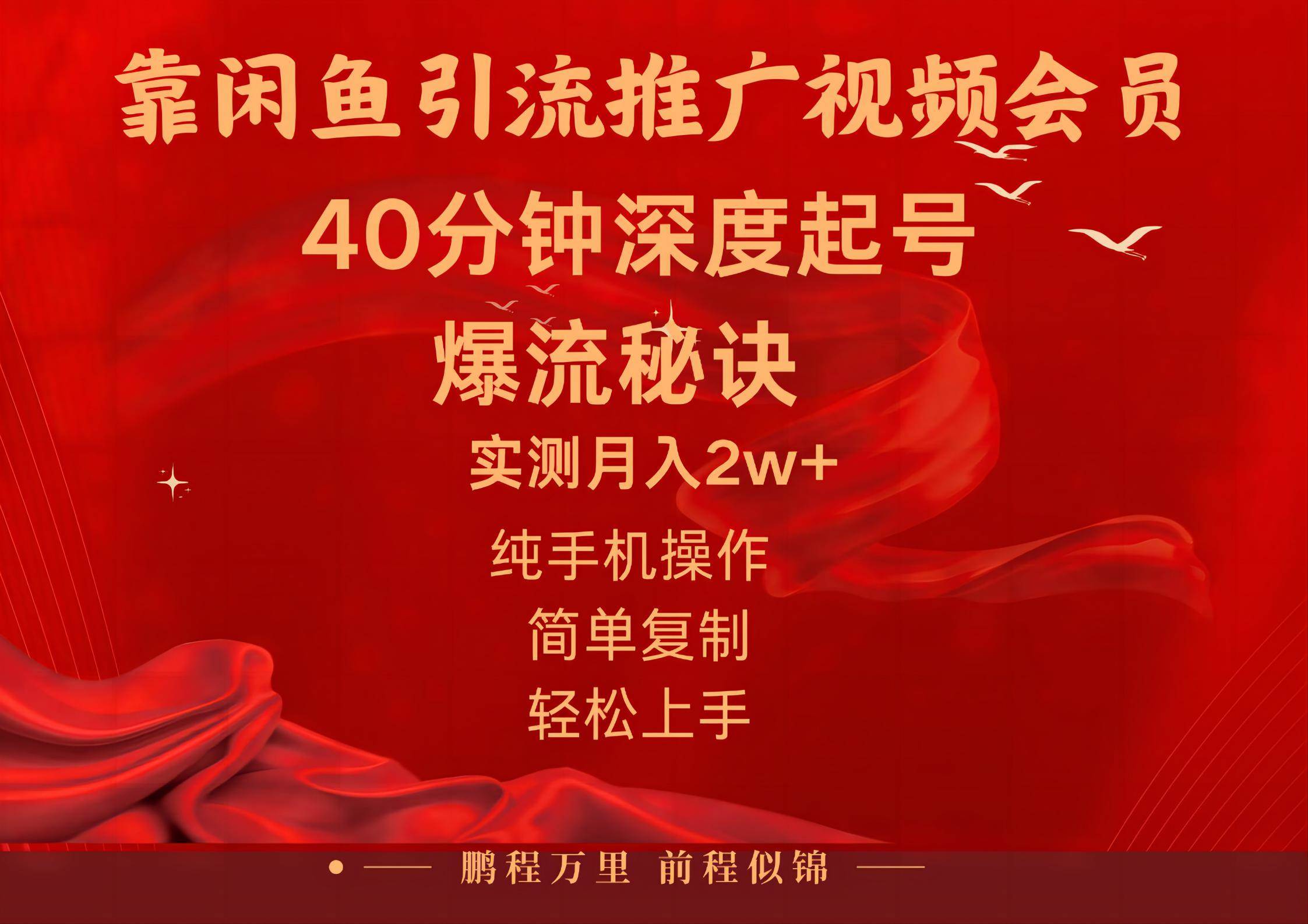 闲鱼暴力引流推广视频会员，能做到日入2W+，操作简单-易学副业
