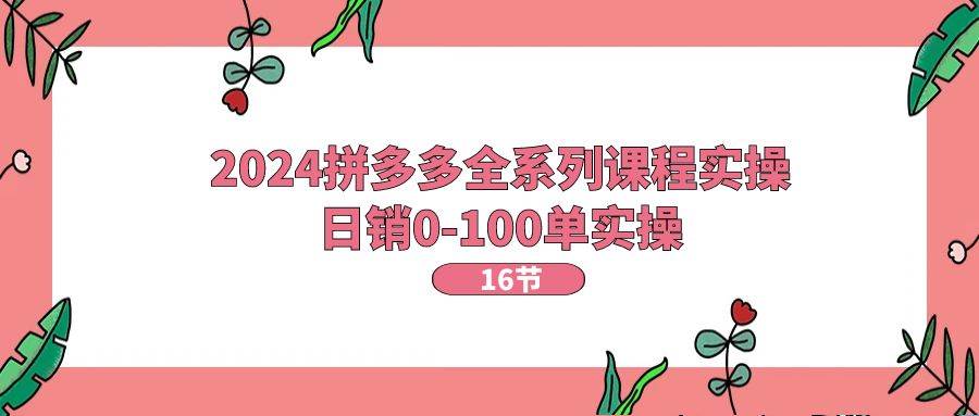 2024拼多多全系列课程实操，日销0-100单实操【16节课】-易学副业