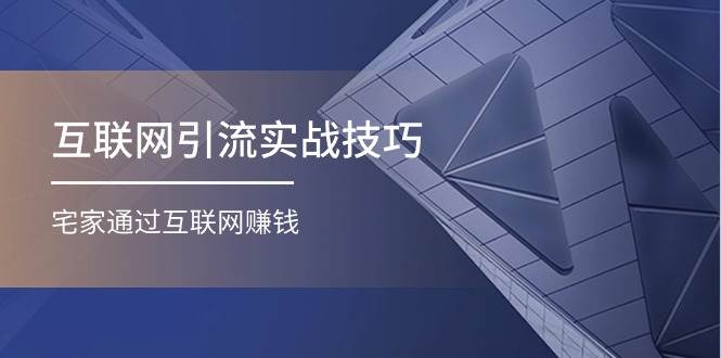 互联网引流实操技巧(适合微商，吸引宝妈)，宅家通过互联网赚钱（17节）-易学副业