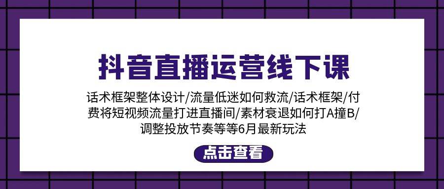 抖音直播运营线下课：话术框架/付费流量直播间/素材A撞B/等6月新玩法-易学副业