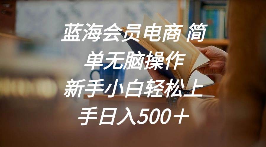 蓝海会员电商 简单无脑操作 新手小白轻松上手日入500＋-易学副业