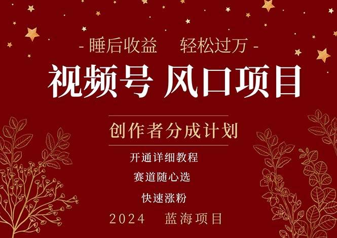 拥有睡眠收益的微信视频号大风口项目，轻松月入过万+，多赛道选择，可…-易学副业