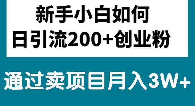 新手小白日引流200+创业粉,通过卖项目月入3W+-易学副业