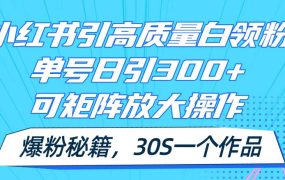 小红书引高质量白领粉,单号日引300+,可放大操作,爆粉秘籍!30s一个作品-易学副业