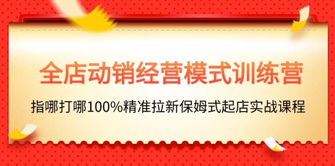 全店动销-经营模式训练营，指哪打哪100%精准拉新保姆式起店实战课程-易学副业
