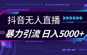 抖音无人直播,暴利引流,日入5000+-易学副业