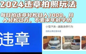 2024违章拍照新玩法,推广躺赚+拍照赚钱双模式,日入1000+-易学副业