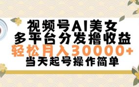 视频号AI美女,轻松月入30000+,操作简单轻松上手-易学副业