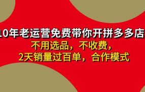 拼多多 最新合作开店日收4000+两天销量过百单,无学费、老运营代操作、...-易学副业