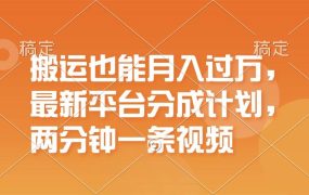 搬运也能月入过万，最新平台分成计划，一万播放一百米，一分钟一个作品-易学副业
