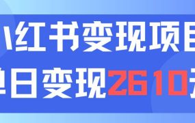 利用小红书卖资料单日引流150人当日变现2610元小白可实操(教程+资料)-易学副业