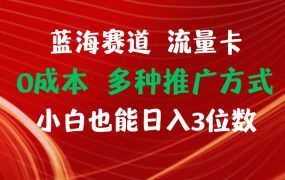 蓝海赛道 流量卡 0成本 小白也能日入三位数-易学副业