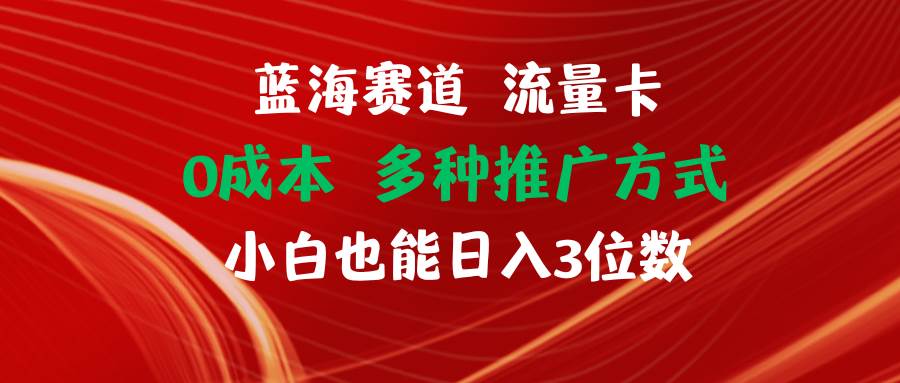 蓝海赛道 流量卡 0成本 小白也能日入三位数-易学副业