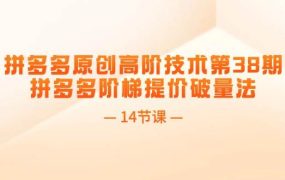 拼多多原创高阶技术第38期,拼多多阶梯提价破量法(14节课)-易学副业