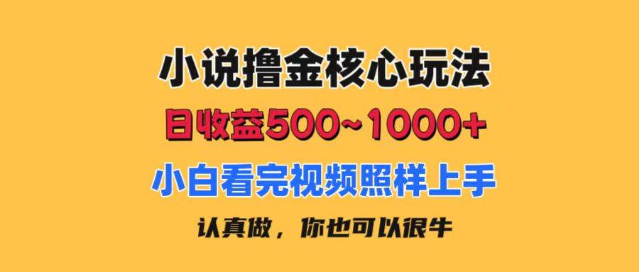 小说撸金核心玩法，日收益500-1000+，小白看完照样上手，0成本有手就行-易学副业