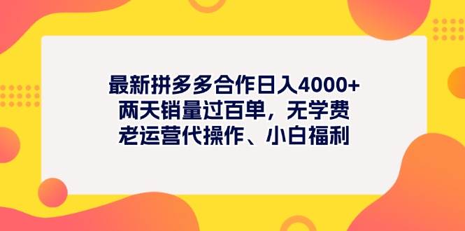 最新拼多多项目日入4000+两天销量过百单，无学费、老运营代操作、小白福利-易学副业