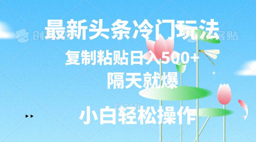 最新头条冷门玩法，隔天就爆，复制粘贴日入500+-易学副业