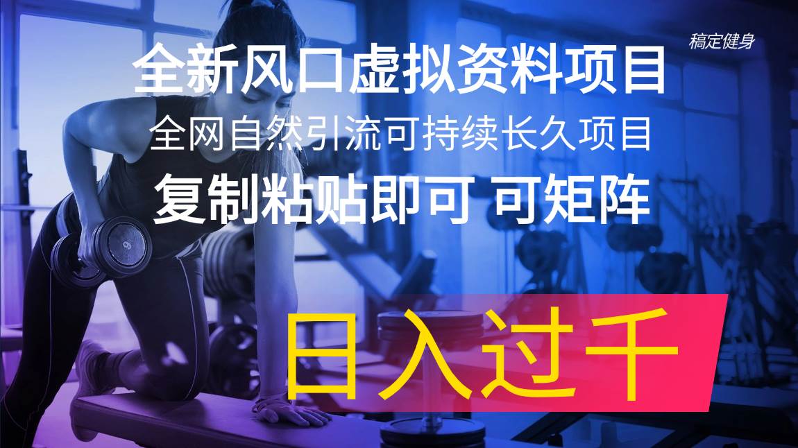 全新风口虚拟资料项目 全网自然引流可持续长久项目 复制粘贴即可可矩阵…-易学副业