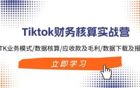 Tiktok财务核算实战营:TK业务模式/数据核算/应收款及毛利/数据下载及报表-易学副业