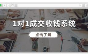 1对1成交 收钱系统,十年专注于引流和成交,全网130万+粉丝-易学副业