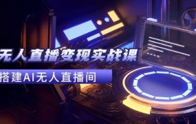 2024全套Ai无人直播变现实战课,搭建AI无人直播间,利用AI赚钱 (24节课)-易学副业