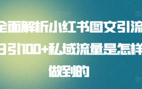 全面解析小红书图文引流日引100私域流量是怎样做到的-易学副业