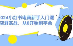 2024小红书电商新手入门课,店群实战,从0开始到学会(31节)-易学副业