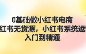 0基础做小红书电商,小红书无货源,小红书系统运营,入门到精通 (70节)-易学副业