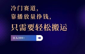冷门赛道,靠播放量挣钱,只需要轻松搬运,日赚300+-易学副业