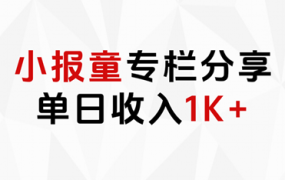 小报童专栏分享，当日收入1K+-易学副业