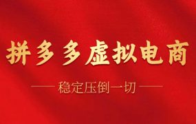 拼多多虚拟电商,单人操作10家店,单店日盈利100+-易学副业