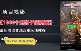 抖音一千个野路子信息差最新玩法教程-变现+引流的玩法具体拆解-易学副业