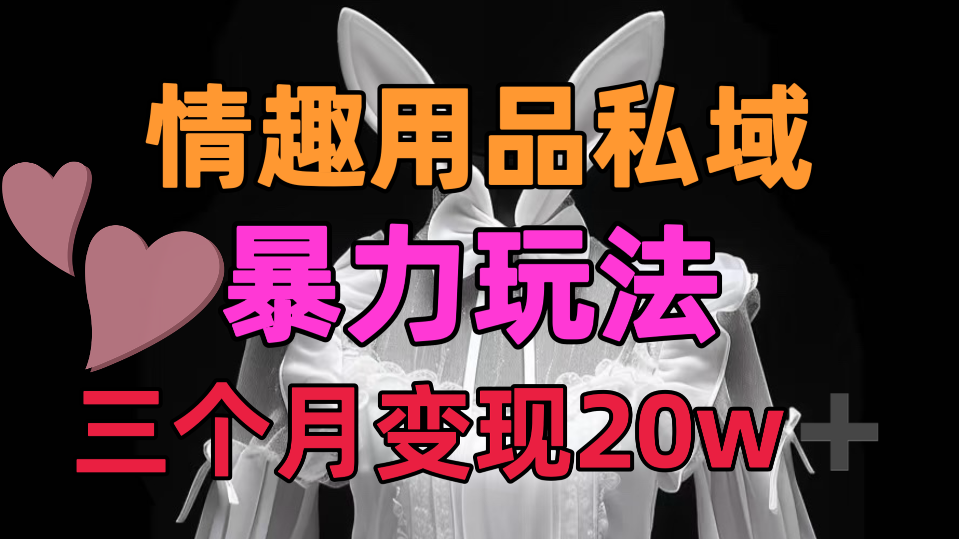情趣用品私域，25年最新暴力玩法，三个月变现20w➕-易学副业
