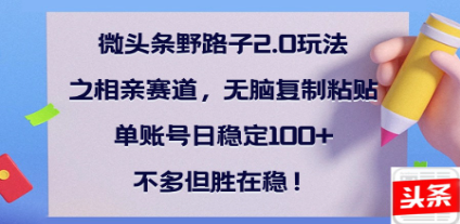全网首发微头条野路子2.0玩法之相亲赛道，无脑搬砖复制粘贴，单账号日稳定300+保姆级教程-易学副业