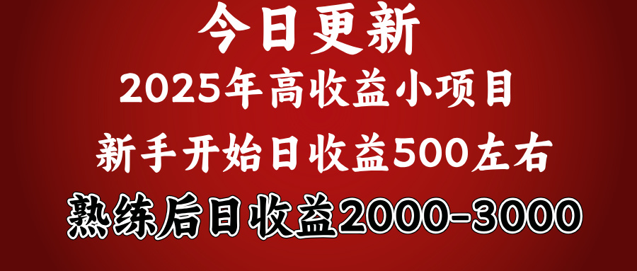 好项目一眼就能看出来，日收益1000，长久可做，2025拼的就是我比你勤奋-易学副业